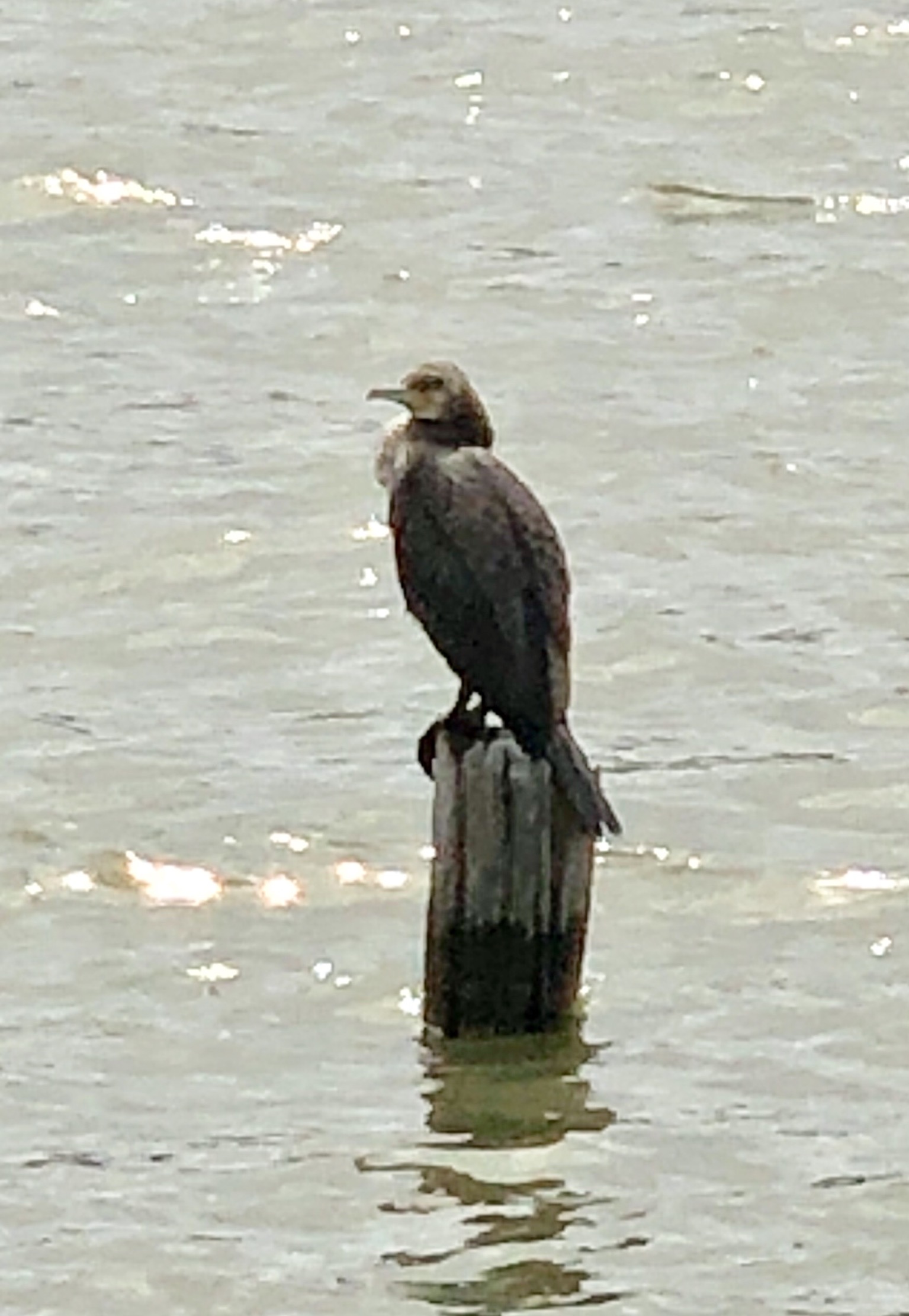 アゴの治療はどうするの?