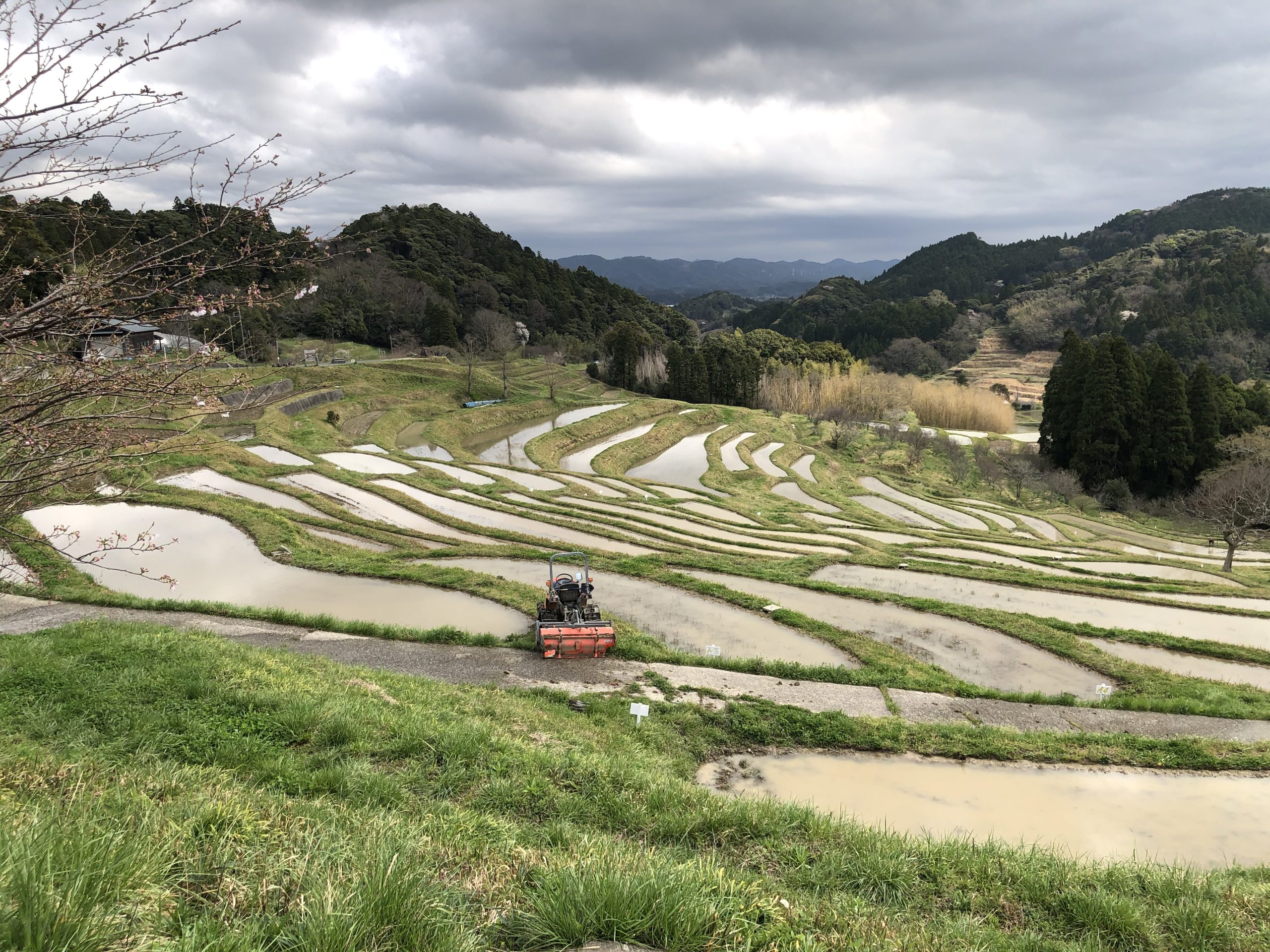 フィリピンボランティア〜歯科医療〜